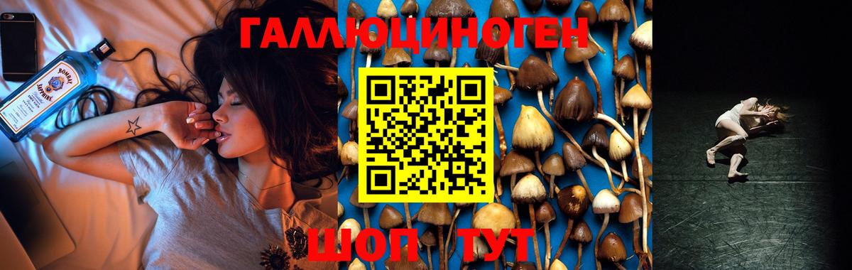 закладки  Галлюциногенные грибы прущие грибы  Вход с VPN  Белореченск 